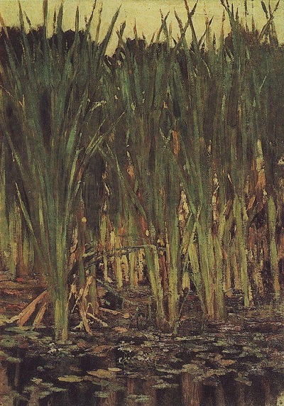В.М.Васнецов.Осока (этюд).1880